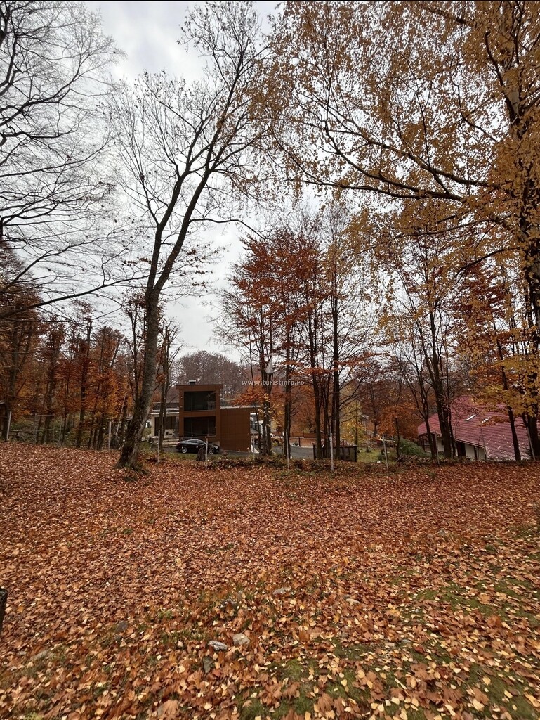 Cabana Lake Chalet Mogoșa