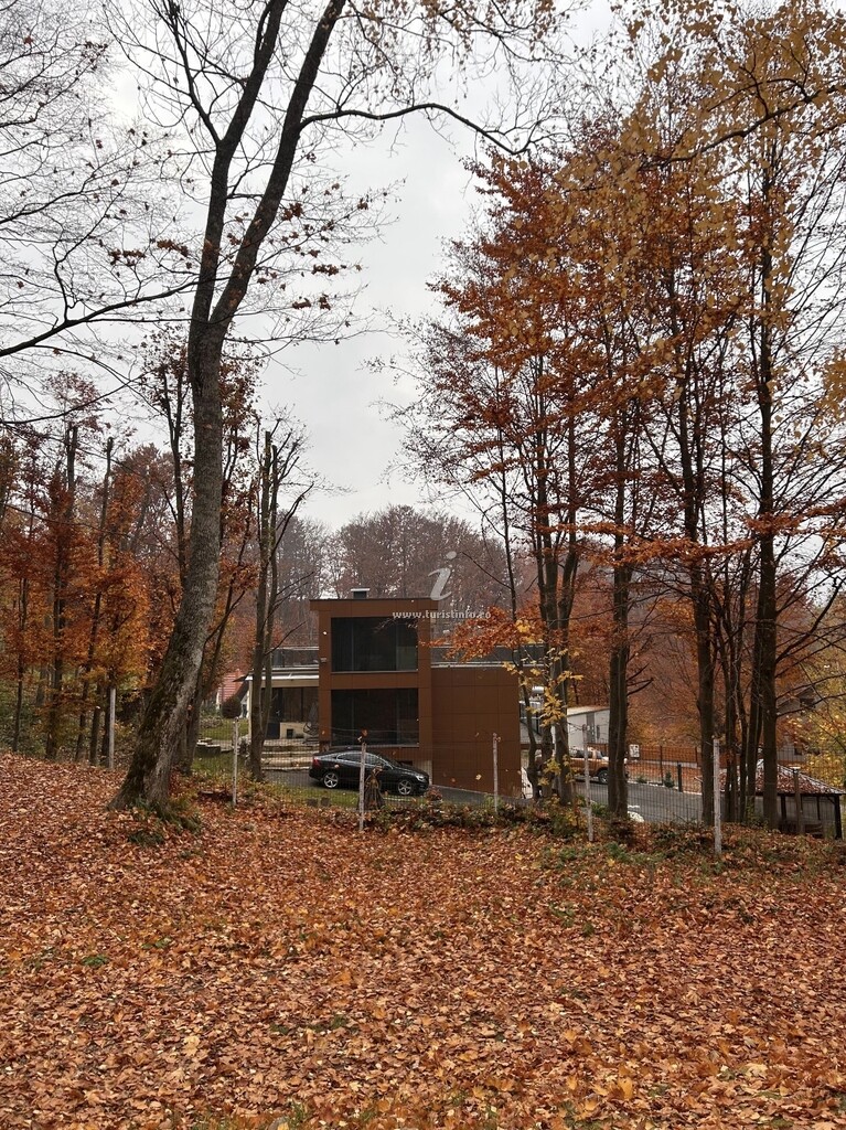 Cabana Lake Chalet Mogoșa