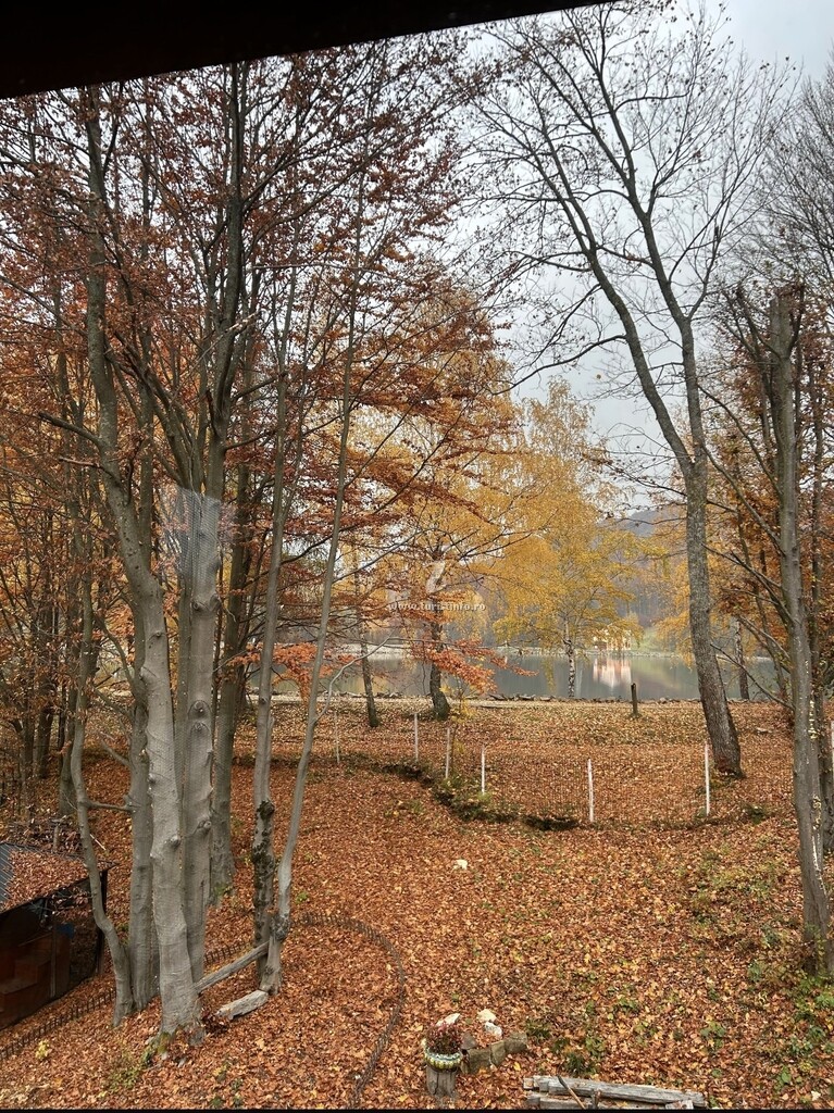 Cabana Lake Chalet Mogoșa