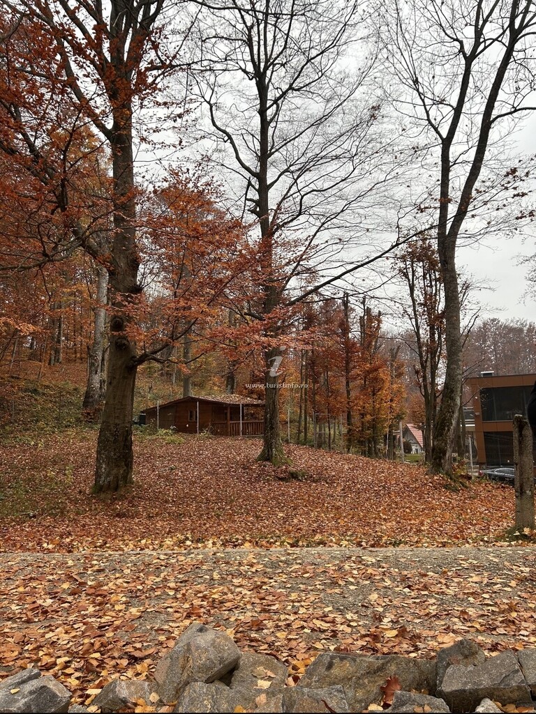 Cabana Lake Chalet Mogoșa
