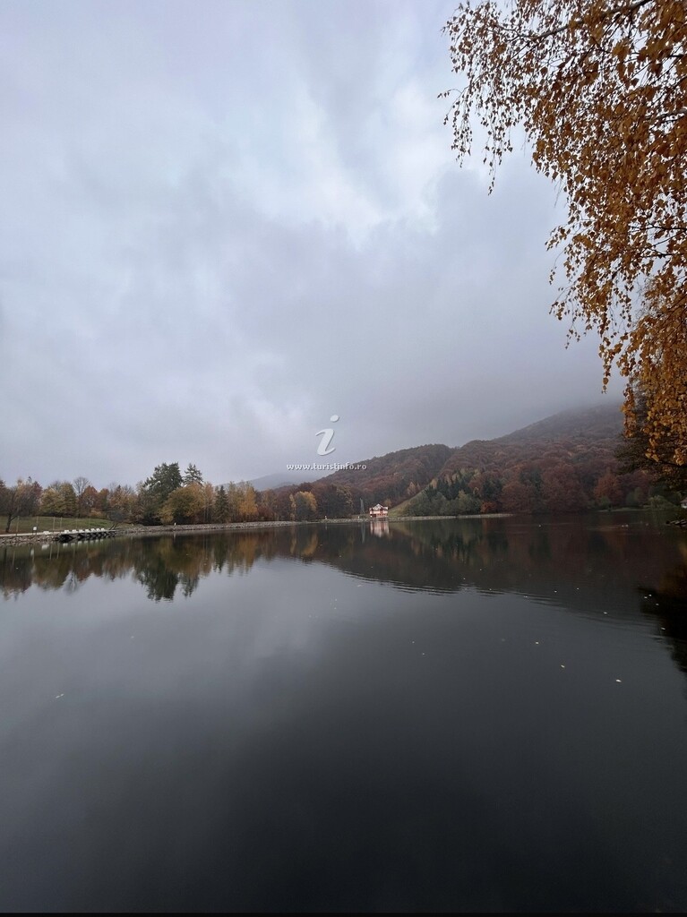 Cabana Lake Chalet Mogoșa