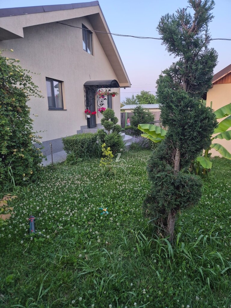 Camere de închiriat Casa cu Barcă