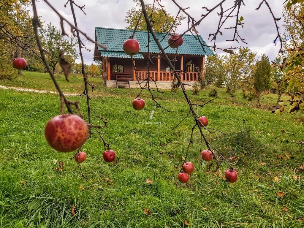Pensiunea Agroturistică Piscul Soarelui