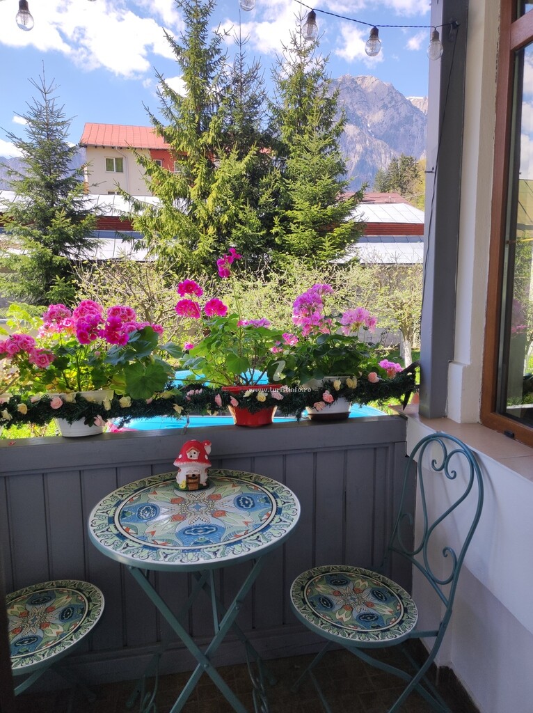 Casa de vacanță Little Bear