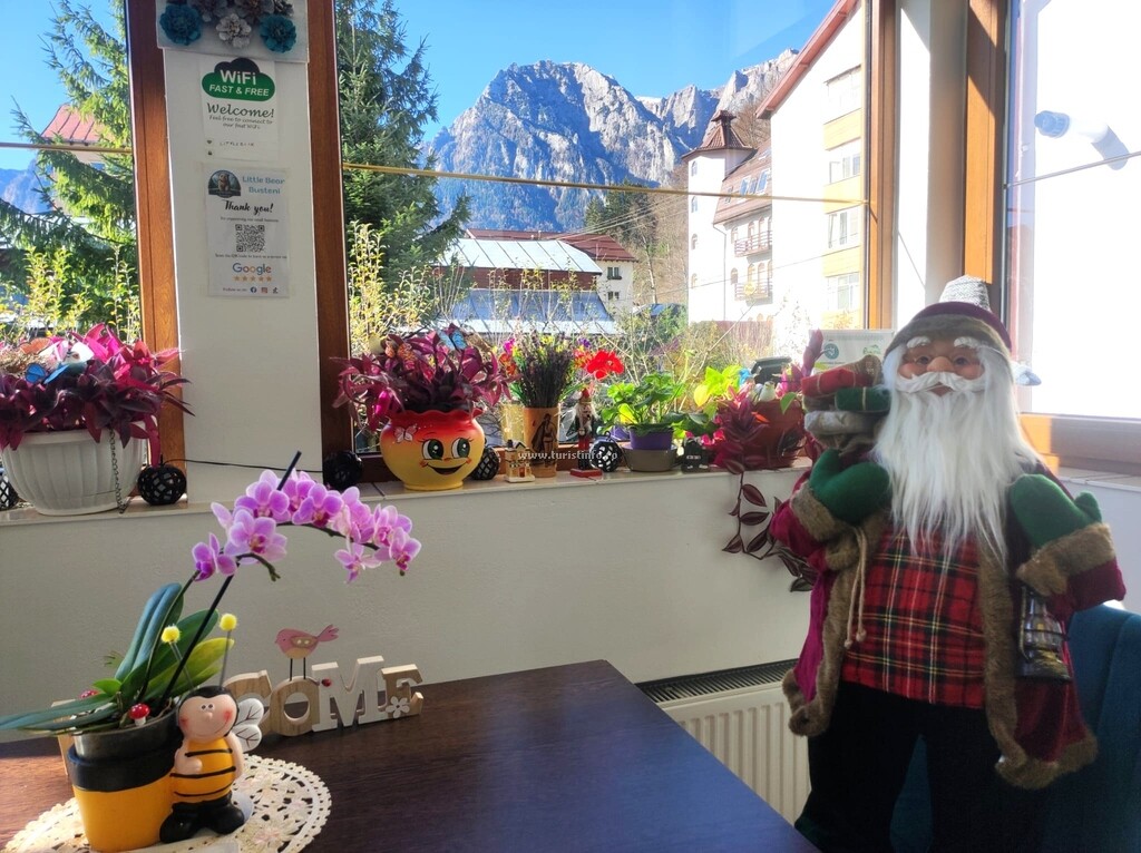Casa de vacanță Little Bear