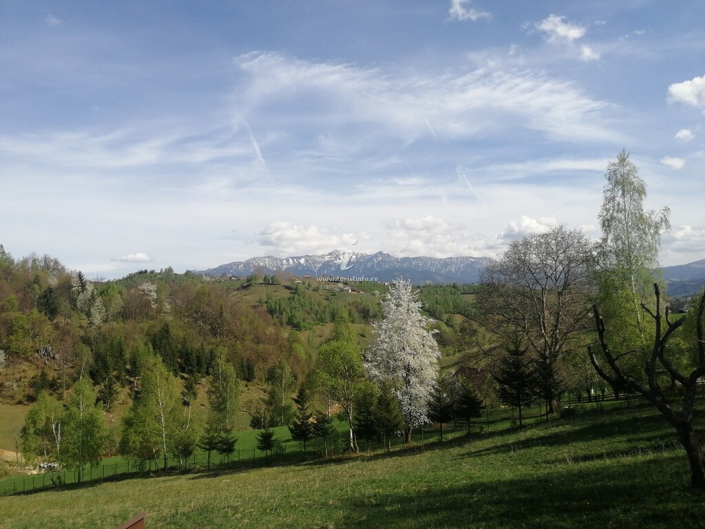 The Viewpoint