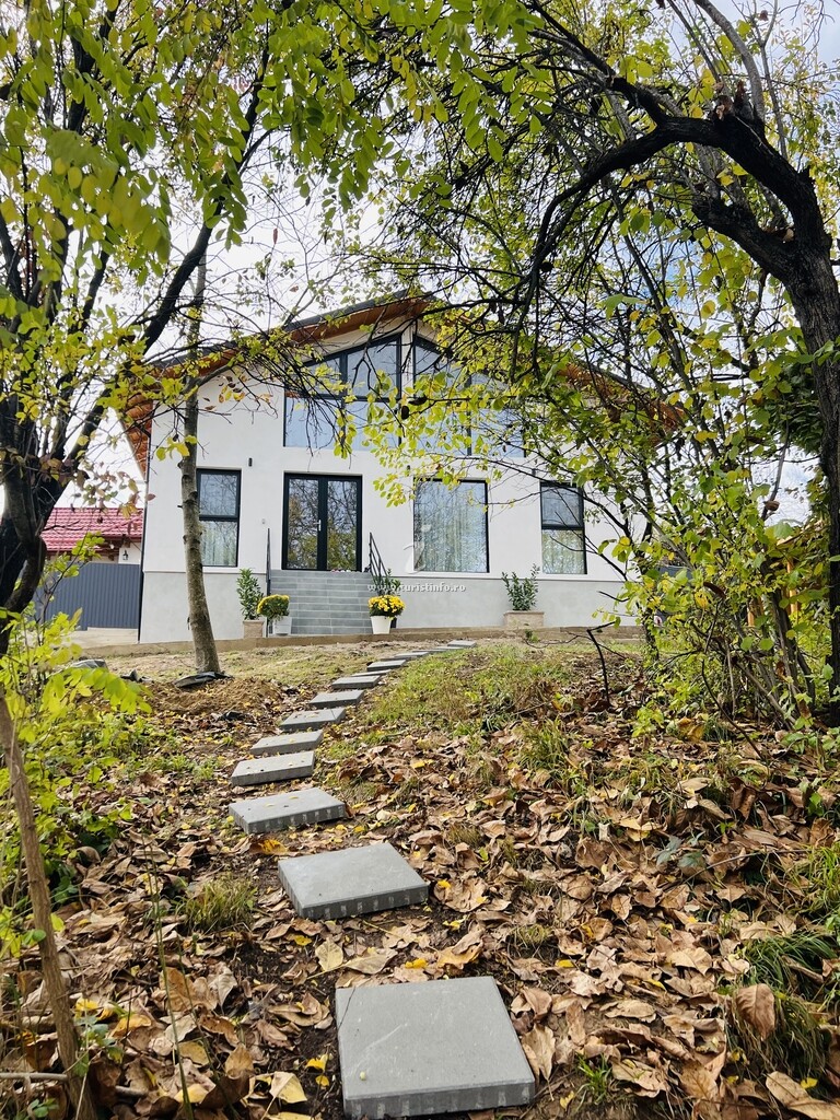 Casa Runcu Dambovița
