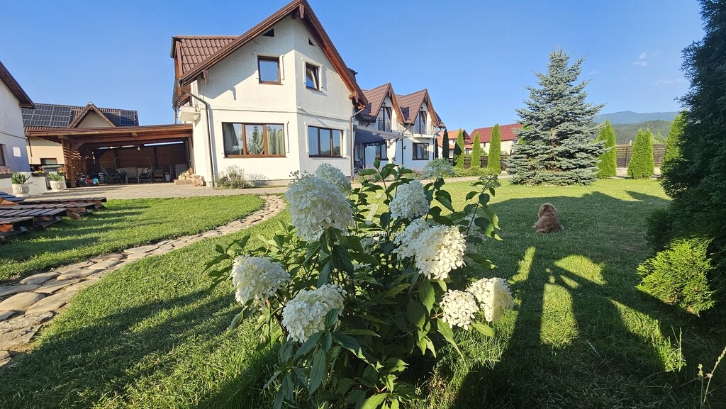Casa Ștefu
