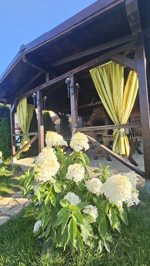 Casa Ștefu