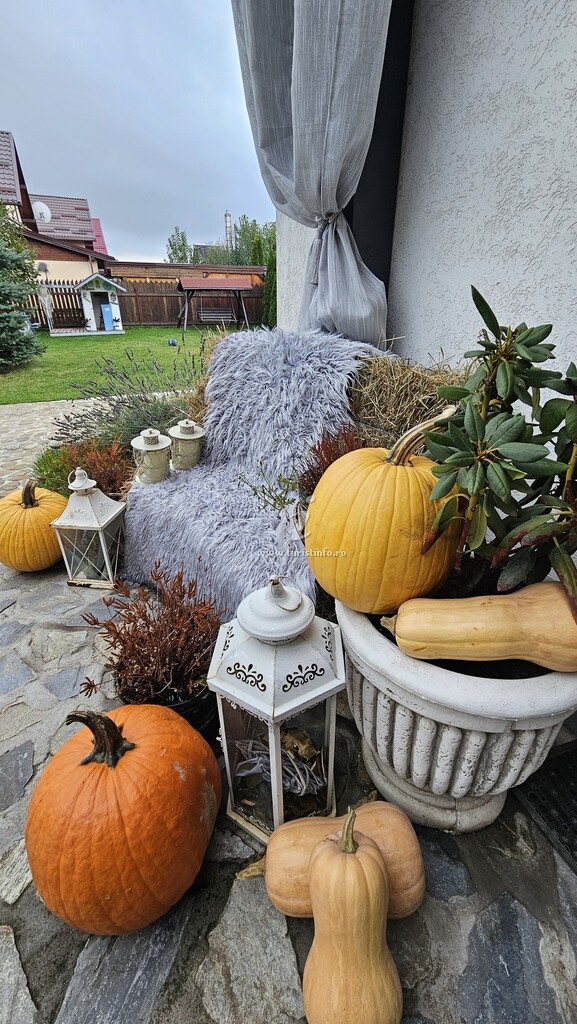 Casa Ștefu