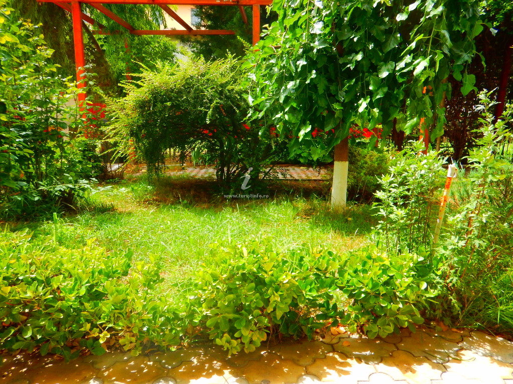 Casa Paloma