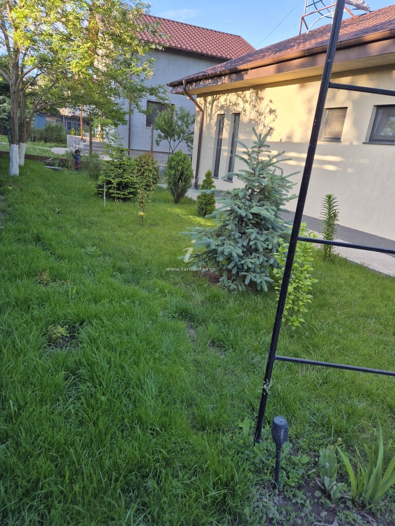 Camere de închiriat Casa cu Barcă