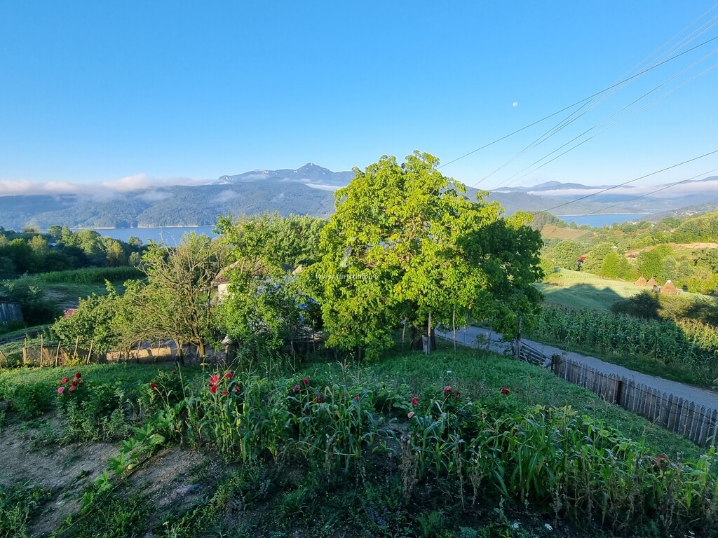 Cabana Fânarele