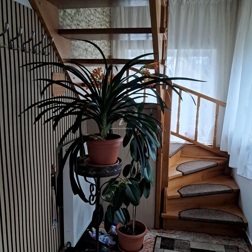 Apartament La Casă