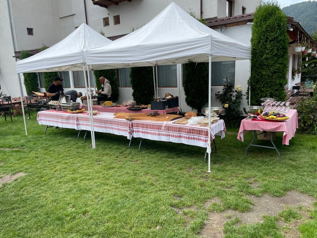 Pensiunea Pui de Urs
