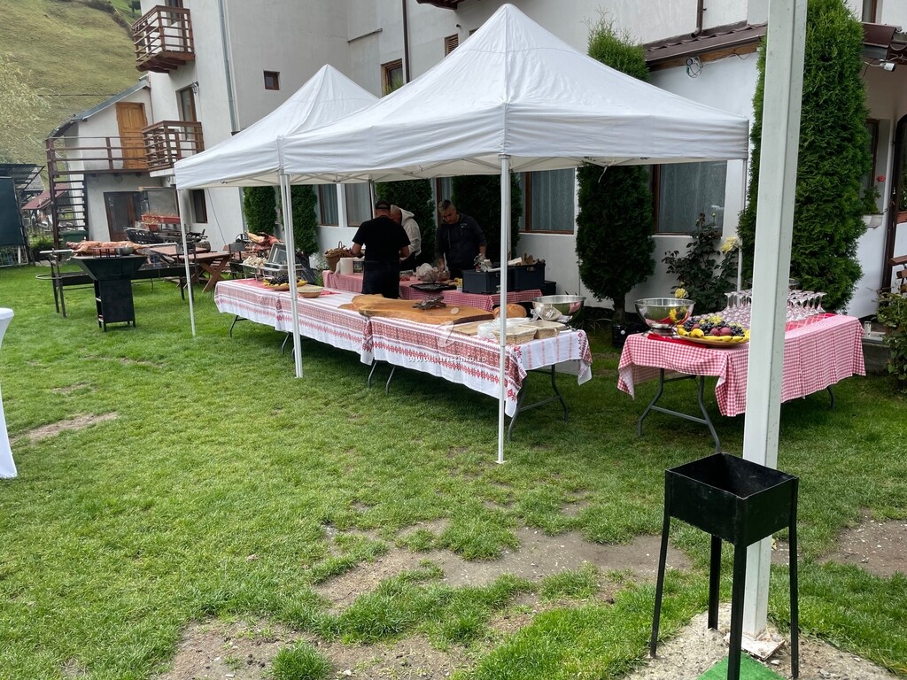 Pensiunea Pui de Urs