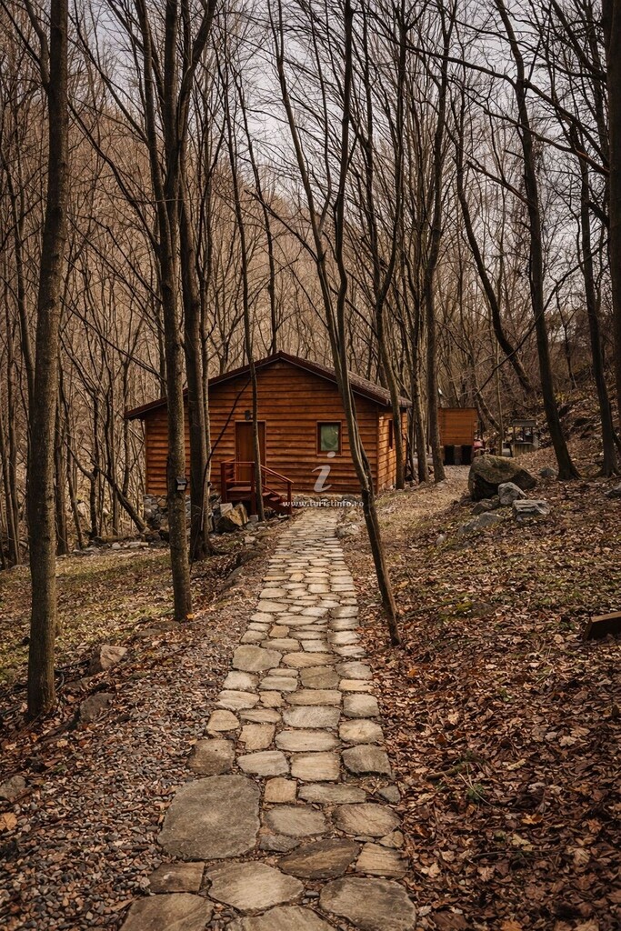 Cabana Manea Forest Hub