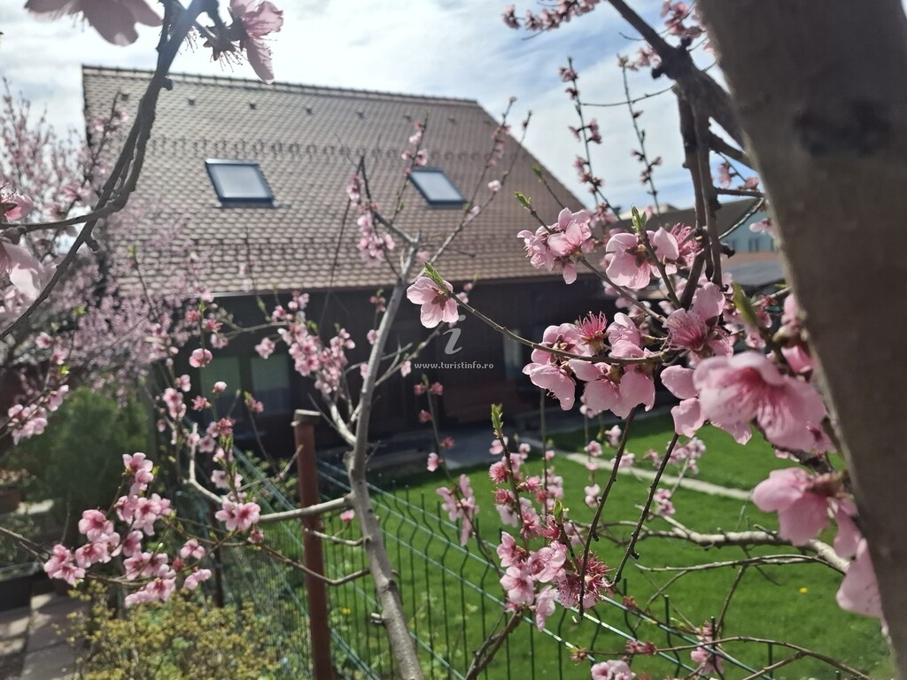 Casa Șura Sașilor