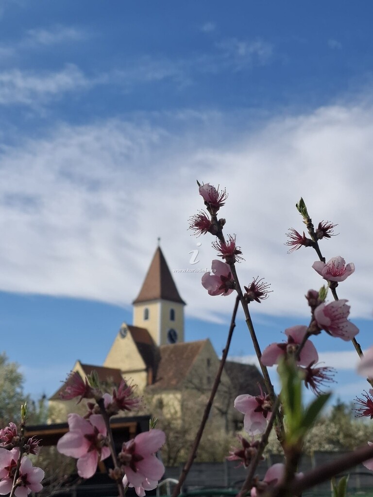 Casa Șura Sașilor