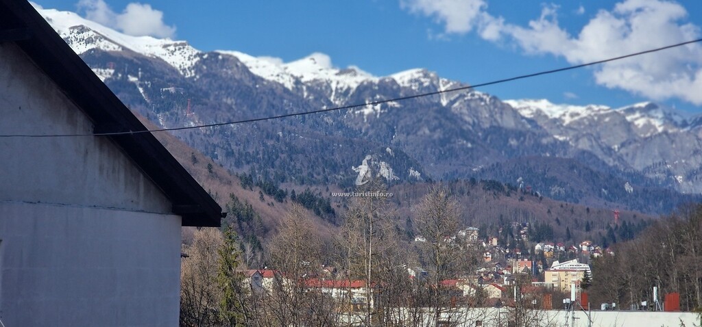 Apartament Daria