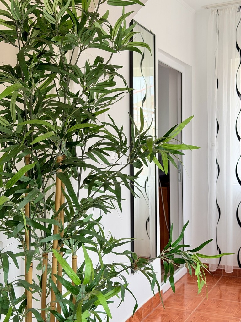 Casa de vacanță Irina