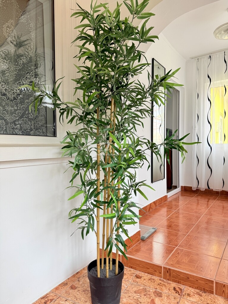 Casa de vacanță Irina