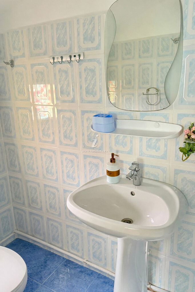 Casa de vacanță Irina