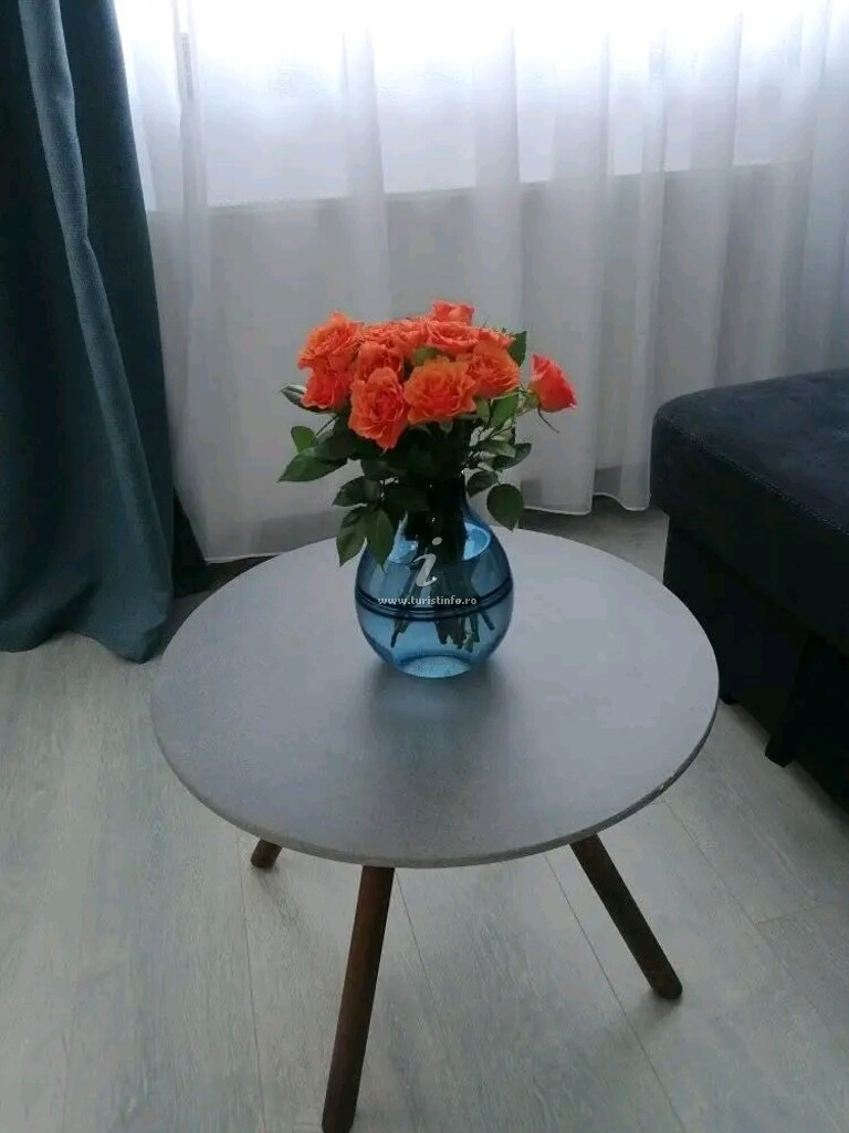 Beach View Apartment