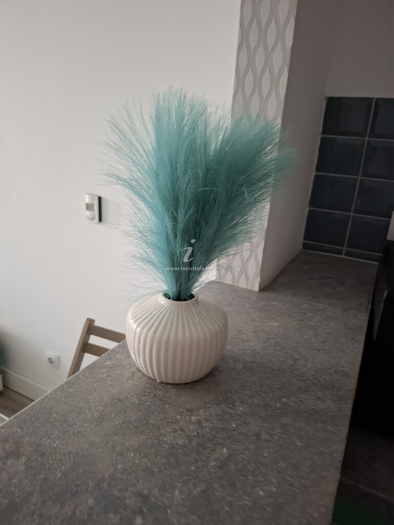 Apartament Onix Olivia
