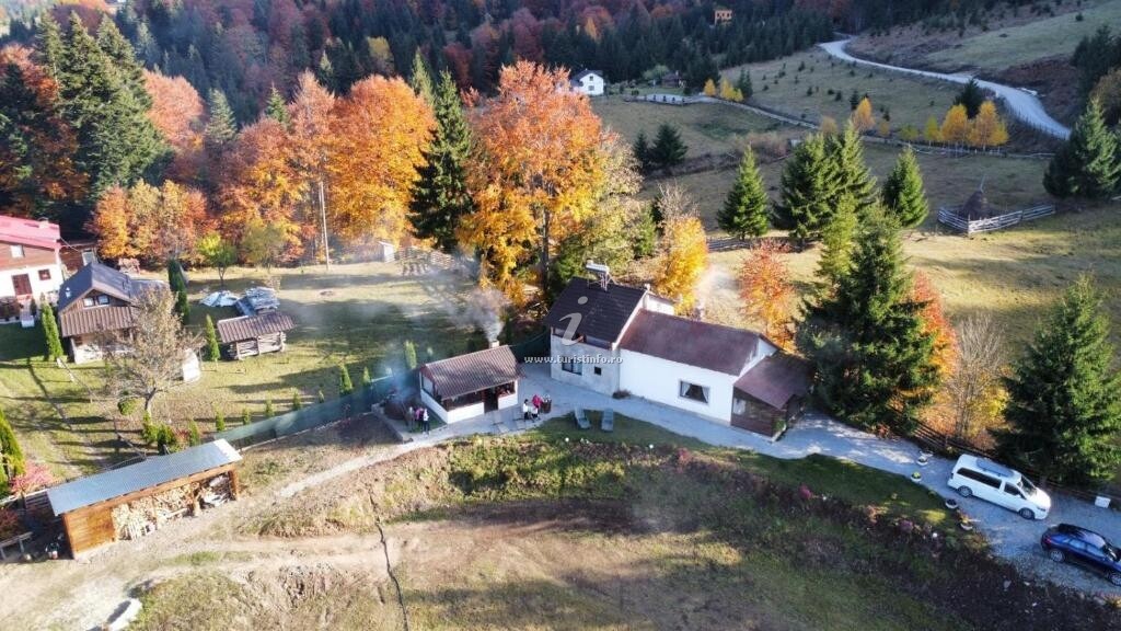 Cabana Căsuța Din Padure