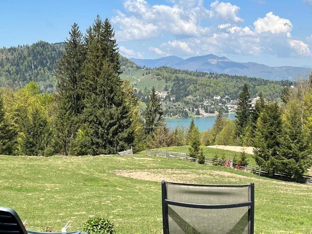 Cabana Căsuța Din Padure