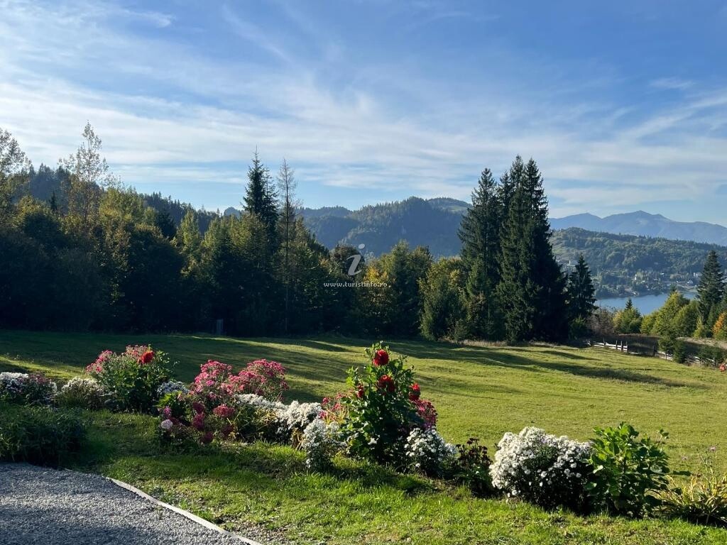 Cabana Căsuța Din Padure