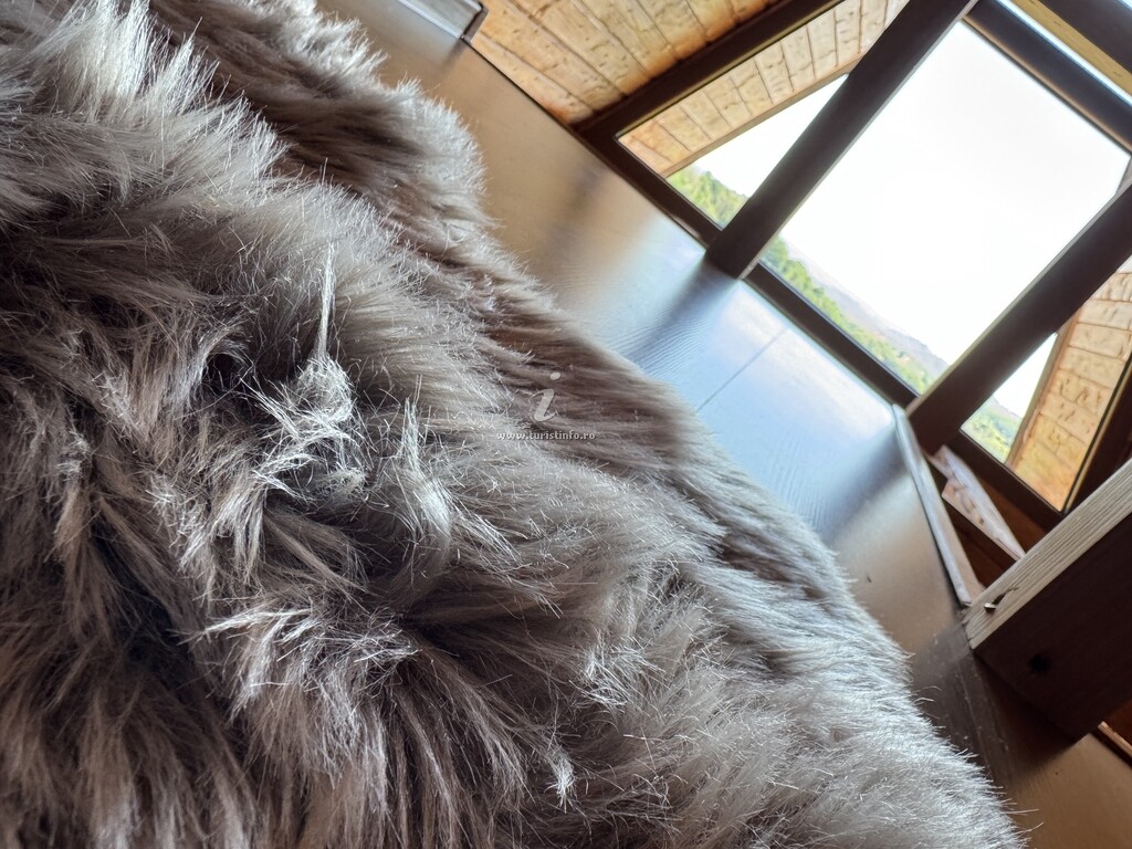 Cabana Refugiul