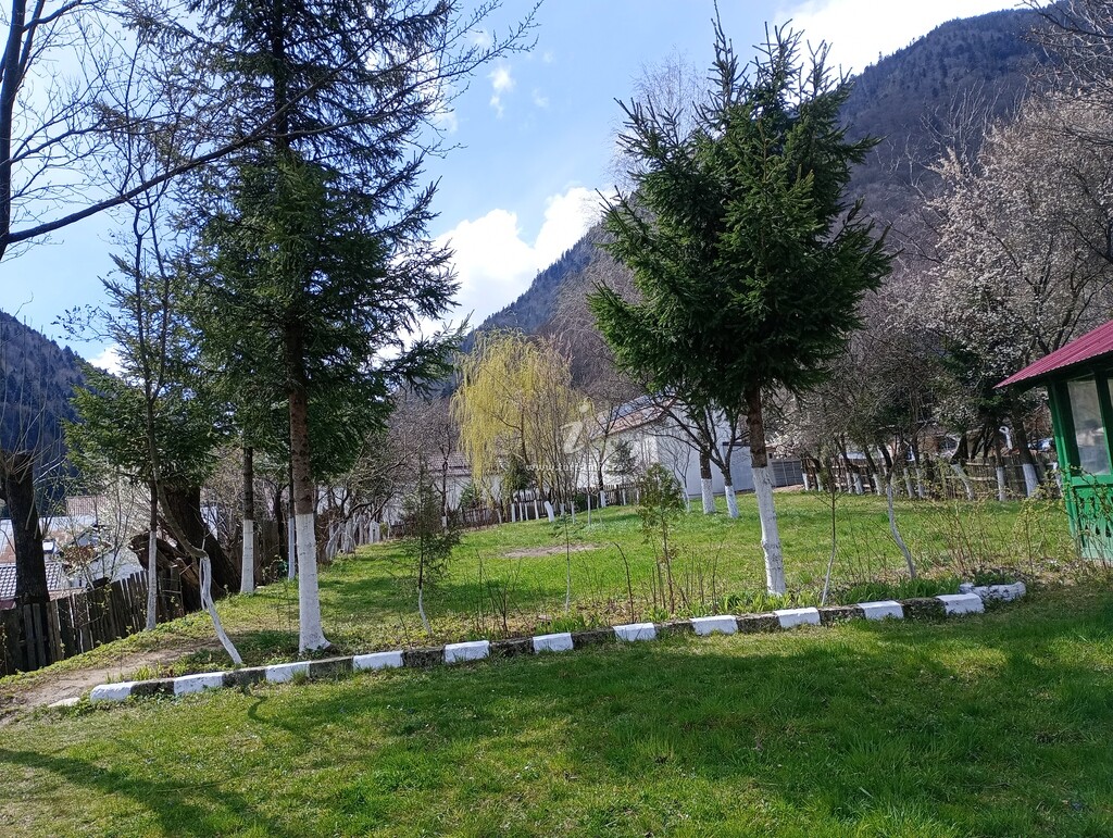 Pensiunea Irina 2