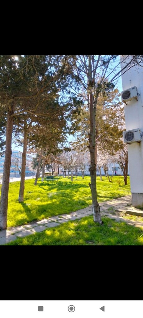 Studio Vacanțelor