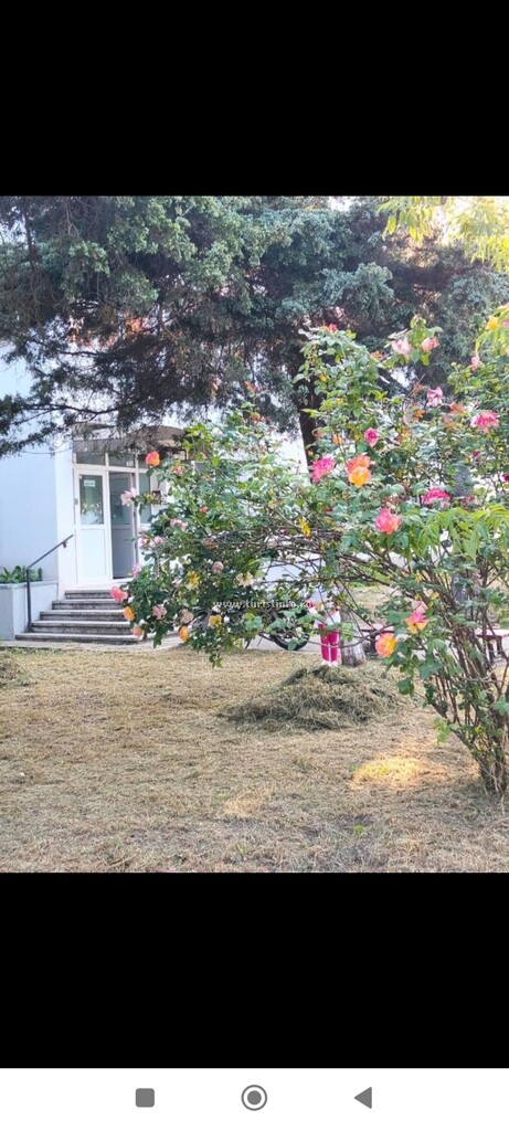 Studio Vacanțelor