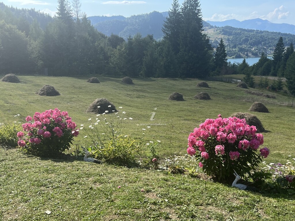 Cabana Căsuța Din Padure