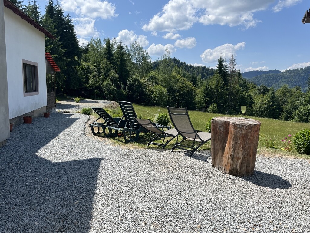 Cabana Căsuța Din Padure