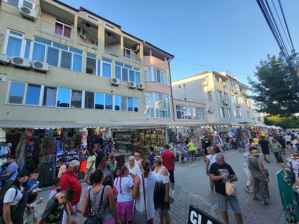 Camere de închiriat Casa Moise