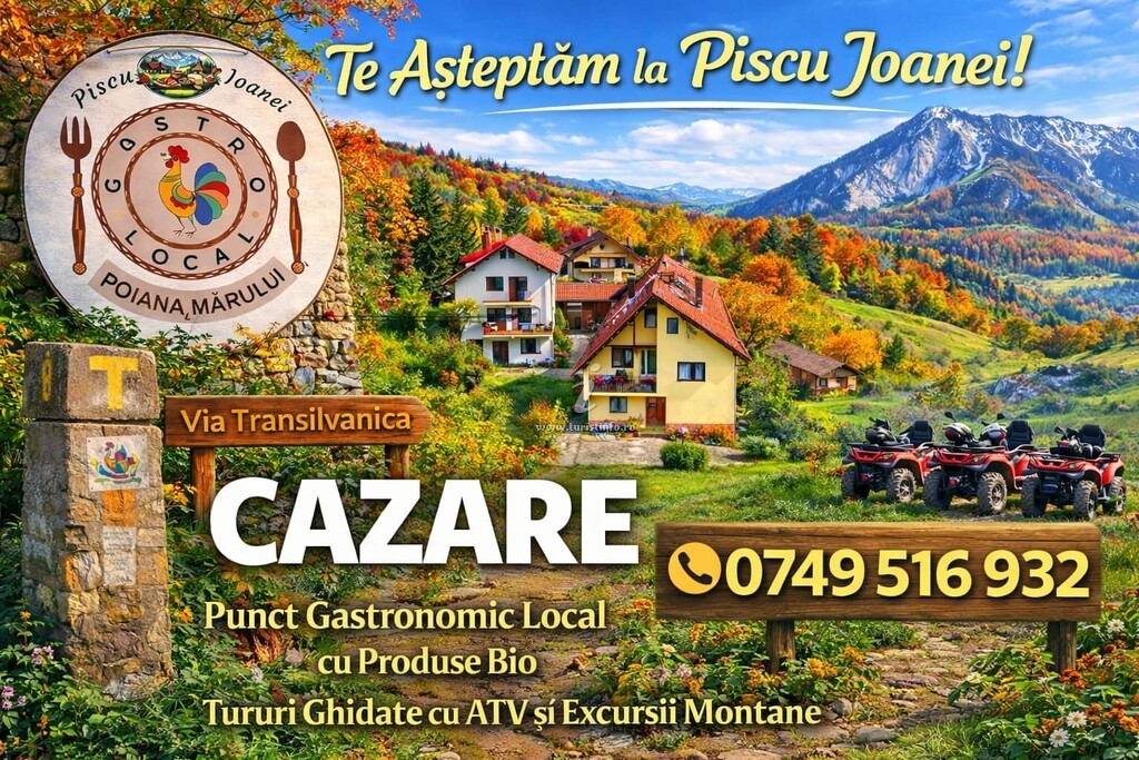 Casa Piscu Ioanei