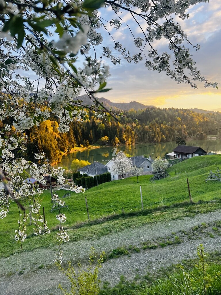 Mămuca Turism