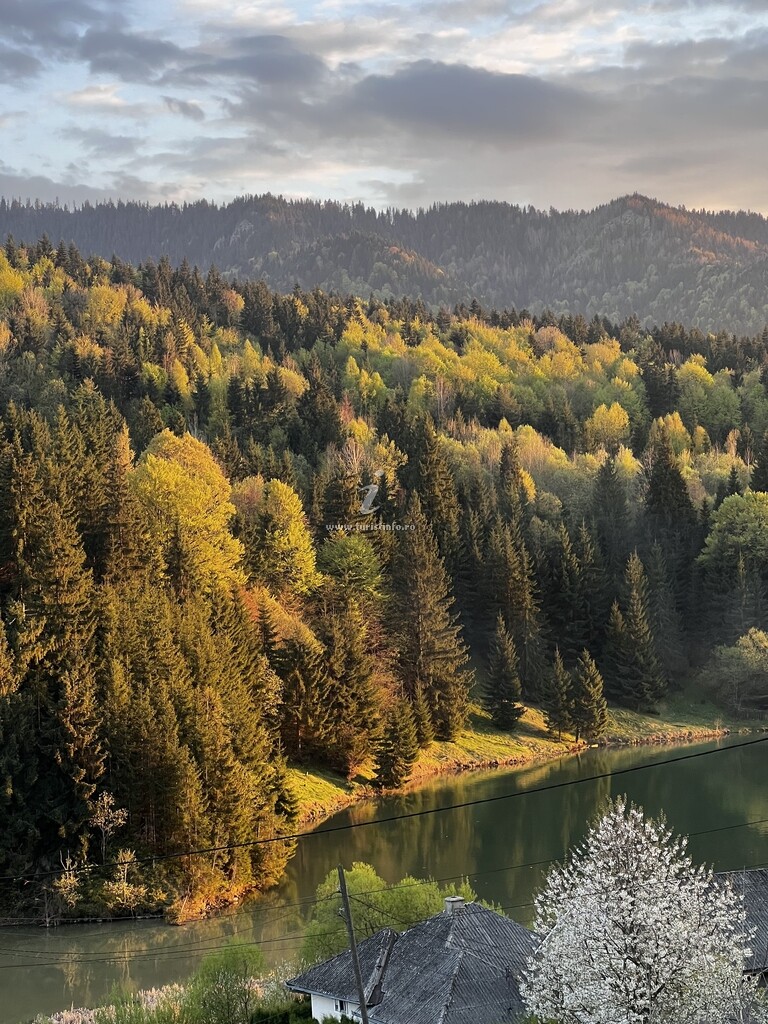 Mămuca Turism