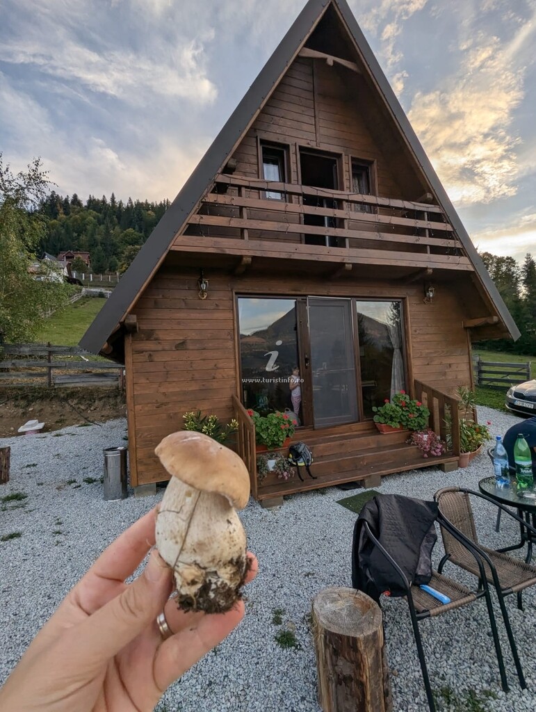 A-frame Căbănuță Busuioc