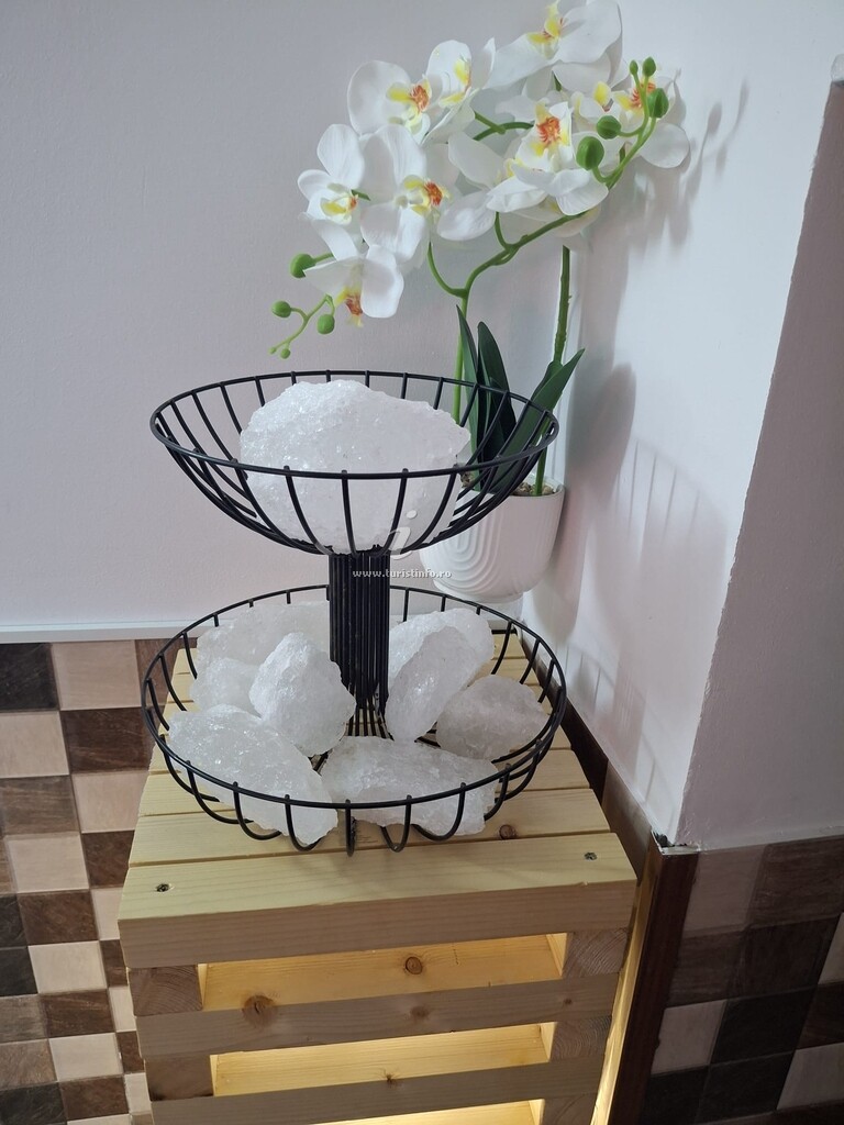 Casa Bănică
