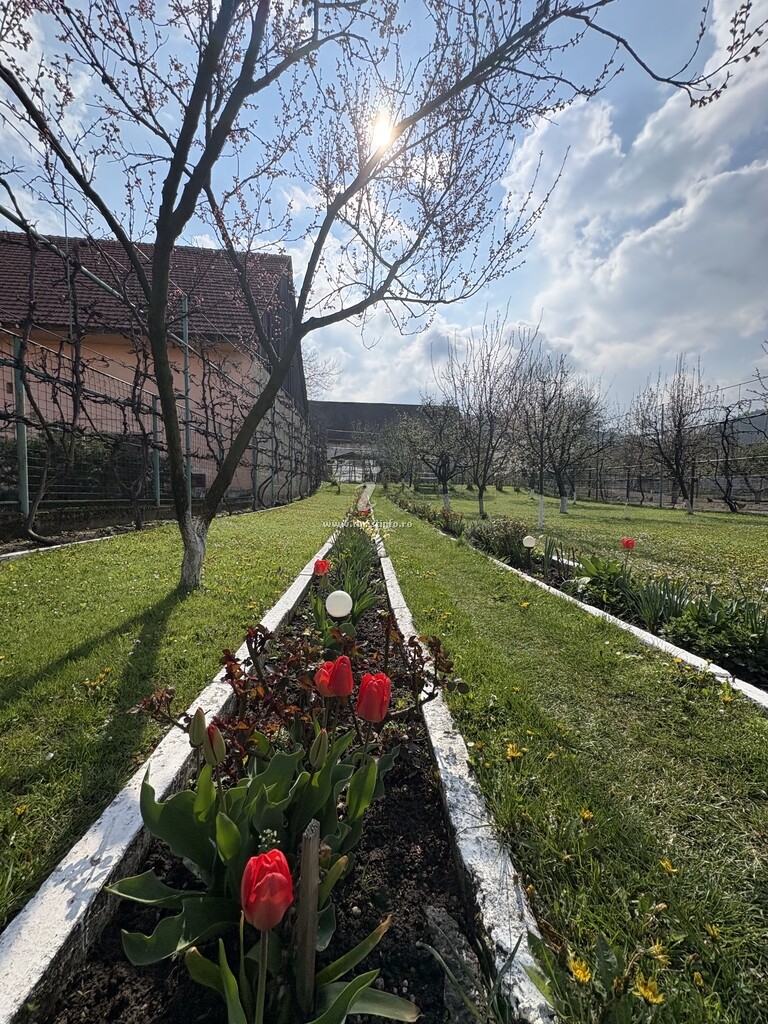 Pensiunea Caraiman