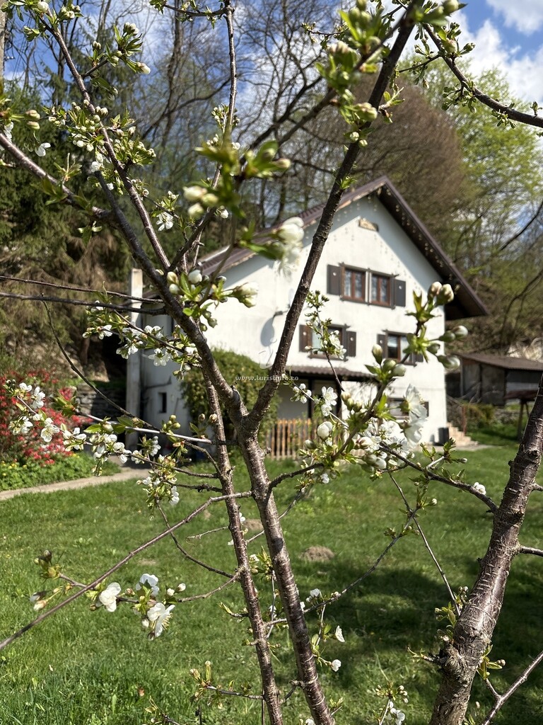 Casa de vacanță Toma