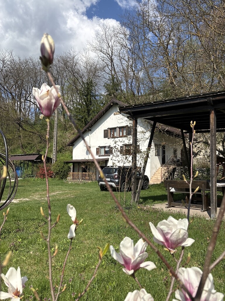 Casa de vacanță Toma
