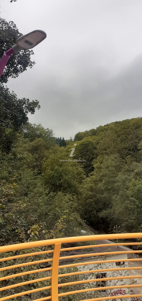 Splendid View