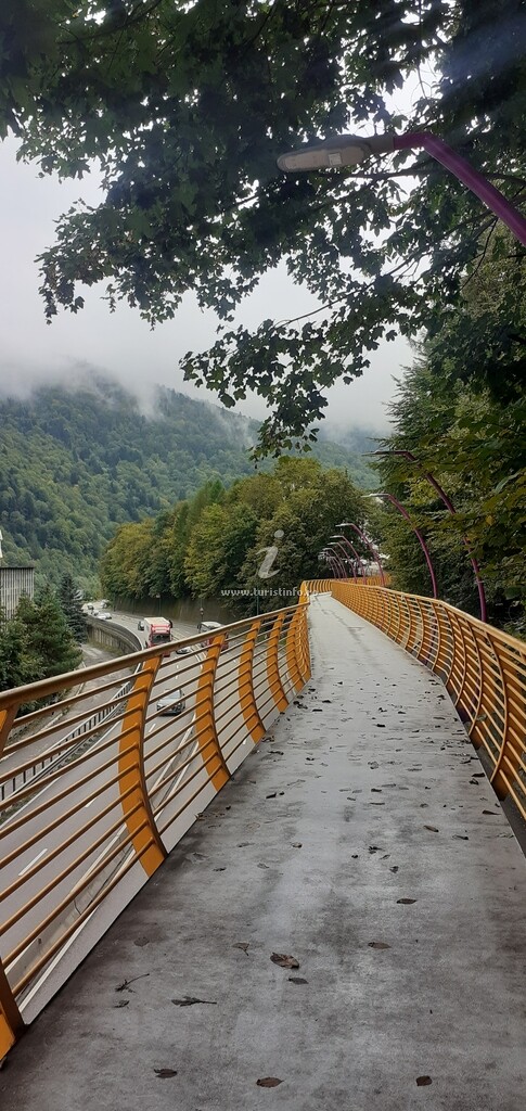 Splendid View