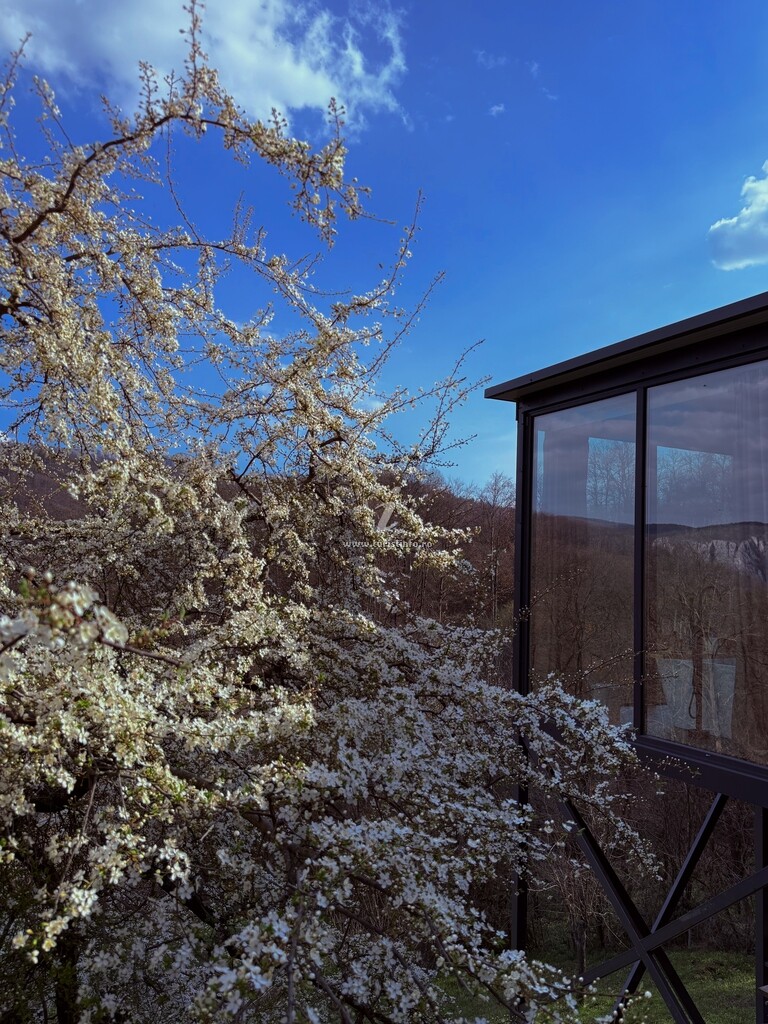 Cabana Nest House